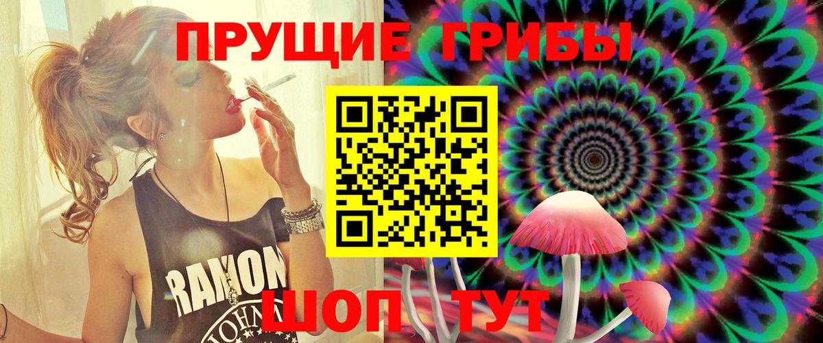 Псилоцибиновые грибы мицелий  Вход с VPN  Альметьевск 