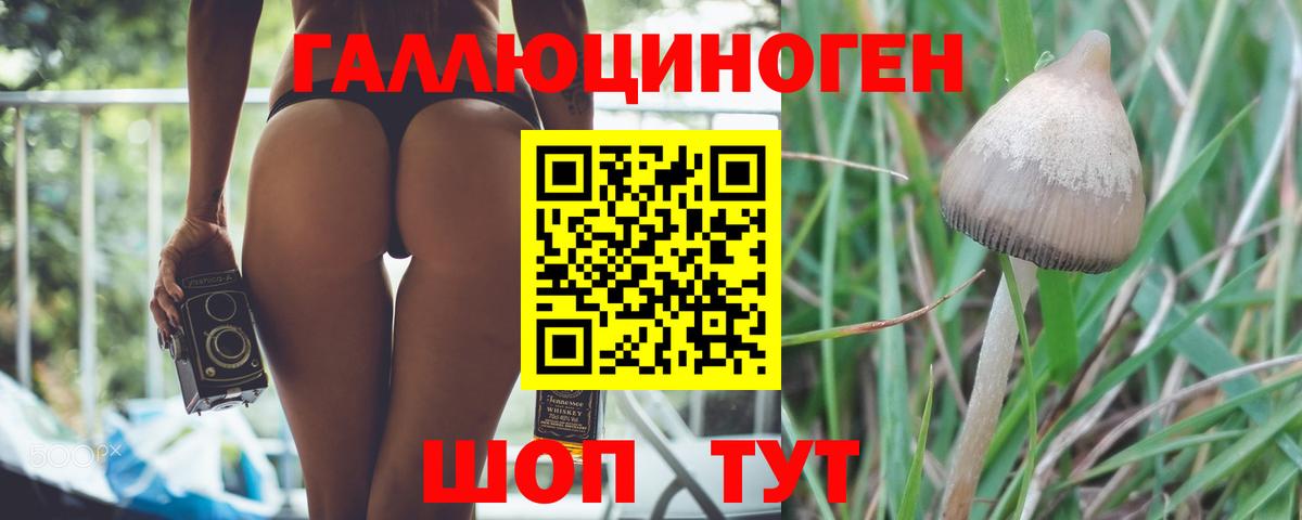Галлюциногенные грибы Magic Shrooms Альметьевск